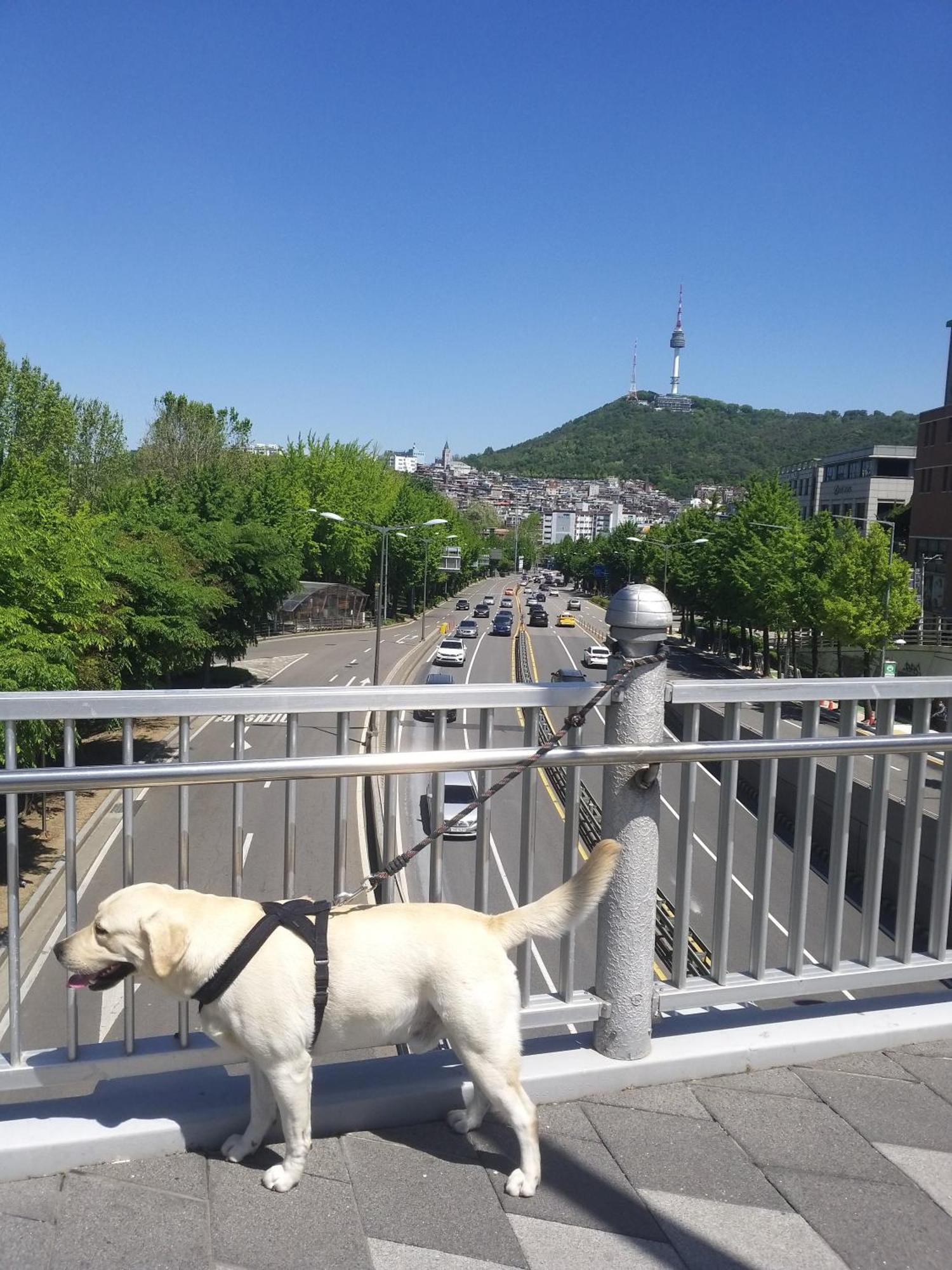Newly Renovated 2 Bedroom Apartment #7 Seul Esterno foto